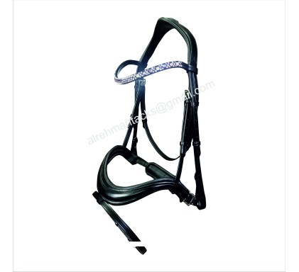 Leather Bridle 